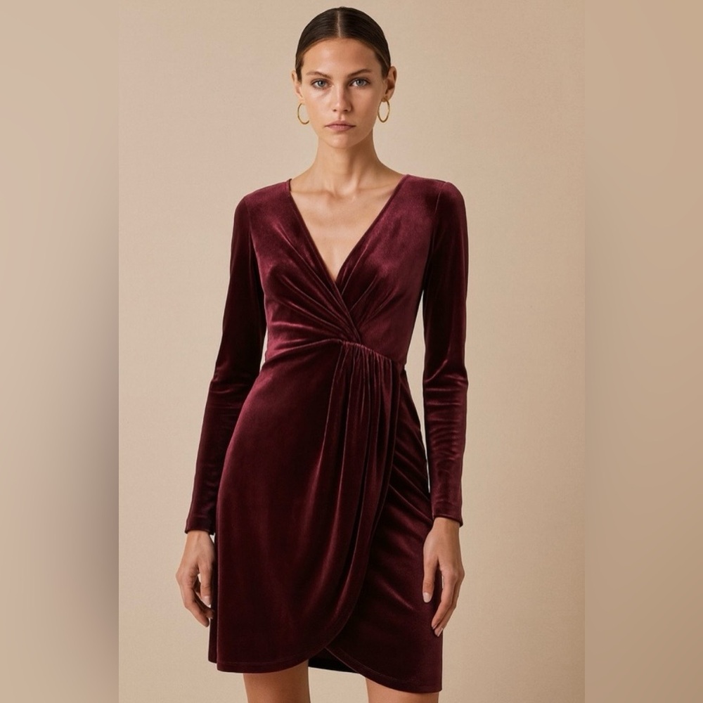 LOFT Burgundy Velvet Long Sleeve Dress